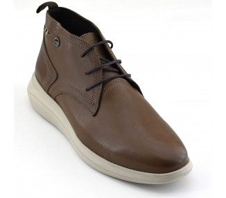 SAUL-BOTA CORDON