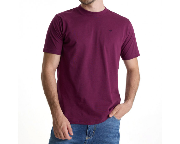 REMERA FORTALEZA REMERA FORTALEZA